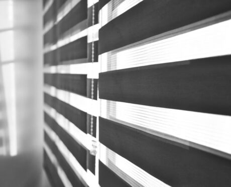 Zebra Blinds